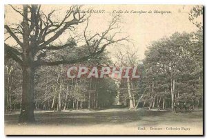 Old Postcard Foret Senart Allee Carrefour Montgeron