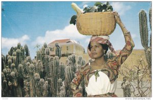 Native fruit girl , CURACAO , N.A. , 50-60s