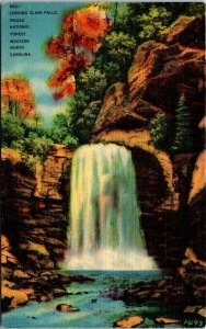 USA Looking Glass Falls Pisgah National Forest North Carolina Linen 09.81