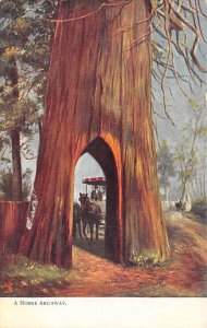 A Horse Archway Misc California  