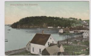 Canada Beaver Harbour New Brunswick 1910 Colored Postcard...