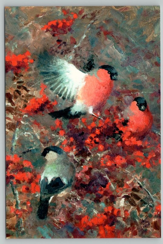 BULLFINCHES in Rowan Tree Birds Berries by Thure Wallner New Unposted Postcard