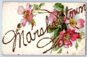 Marshalltown Iowa IA Postcard Embossed Flowers And Leaves Scene c1910's Antique