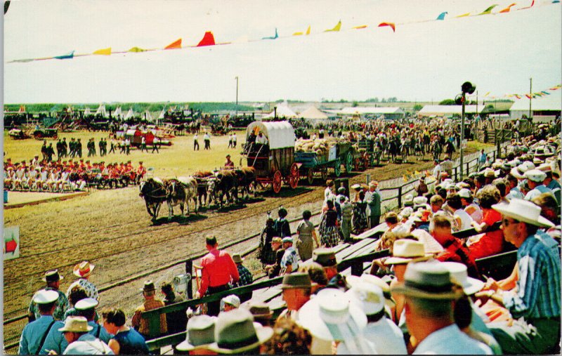 Start of Parade Pion Era Saskatoon Saskatchewan Horses Wagons 1960s Postcard F30