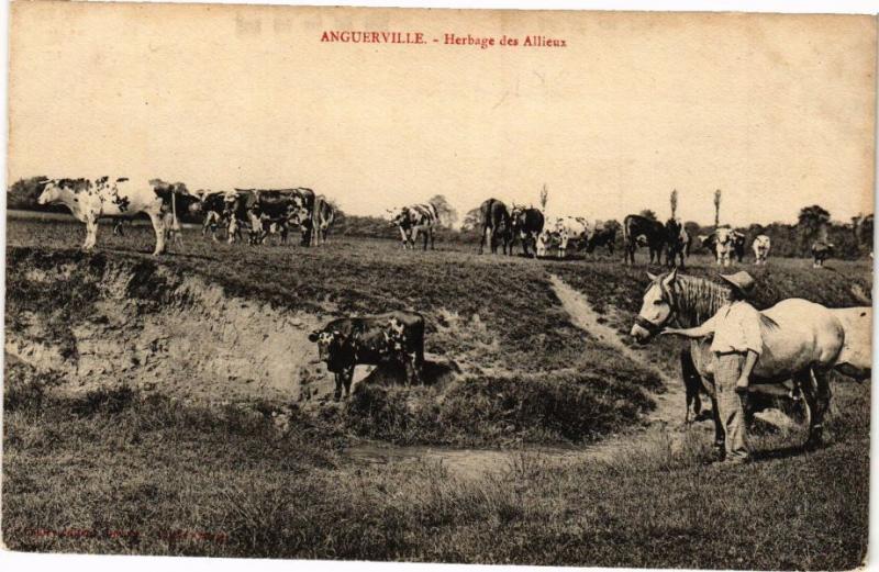 CPA Anguerville - Herbage des Alliens (271486)