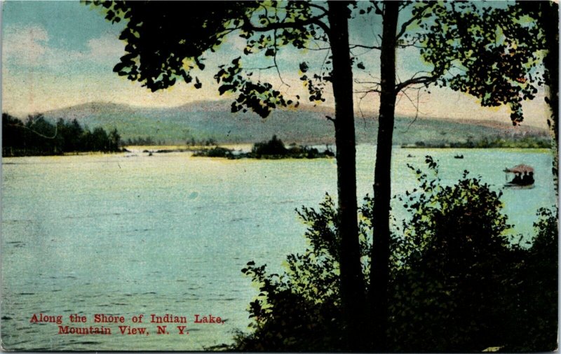 Postcard NY Mountain View Along the Shore of Indian Lake Canoes ~1910 S30