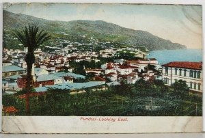 Portugal Funchal Looking East Antique Postcard K1