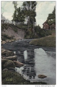 FLINT, Michigan, PU-1909; Thread Creek