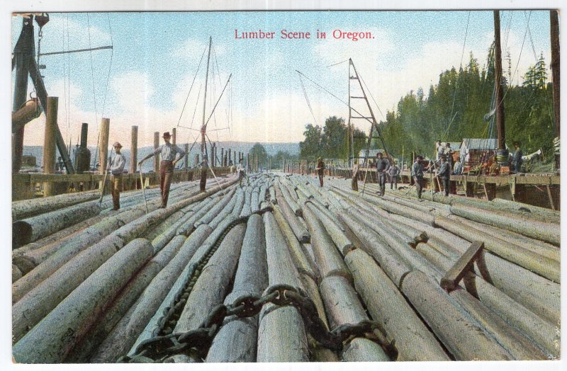 Lumber Scene In Oregon