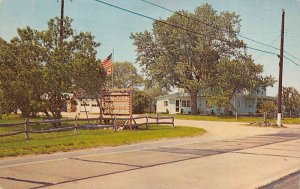 Ocean View New Jersey Echo Farm Campground, Chrome Vintage Postcard U10076