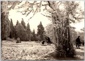 Les Vosges Sous La Niege Feerie Blanche France Real Photo RPPC Postcard