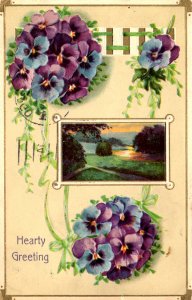 Hearty Greetings - Violets - Pasture Scene - Embossed - in 1911