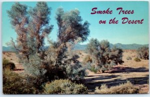 Postcard - Smoke Trees on the Desert