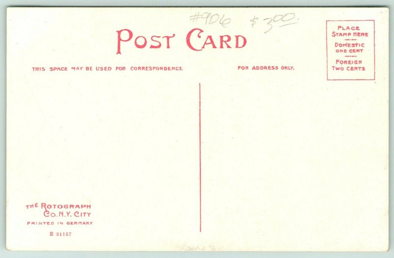 Minneapolis Minnesota~Chunk @ Shore~Minnehaha Park in Summer~Rustic Bridge~c1910