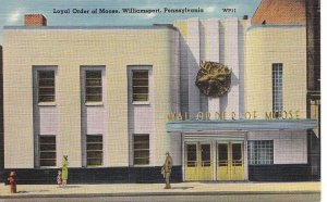 Postcard Loyal Order of Moose Williamsport PA