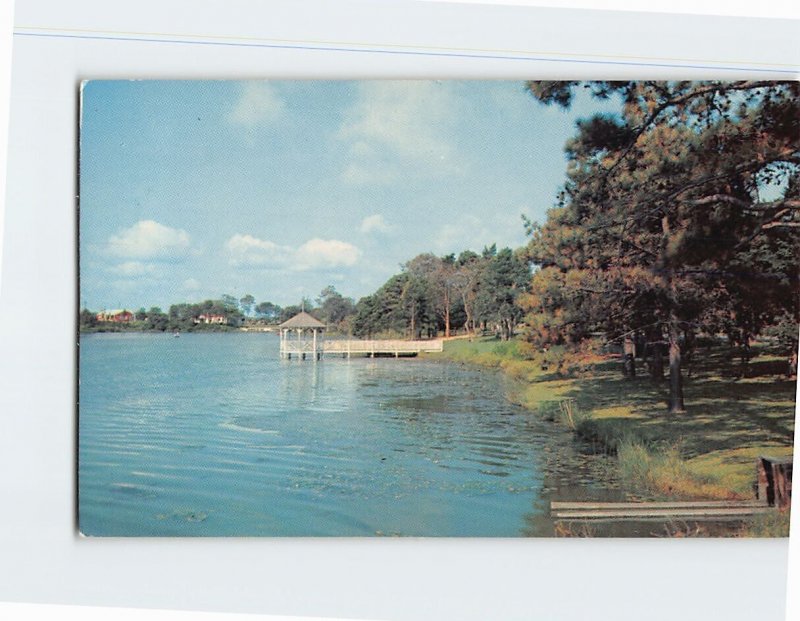 Postcard Beautiful Silver Lake Looking West Delaware USA