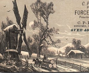 1880 C P KEMMERER FORCE MILL FEEDER LUZERNE PA  VICTORIAN TRADE CARD P1749