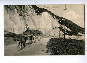 144566 JAMAICA Quarry Rockfort Donkey Vintage postcard