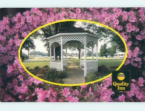 Unused Pre-1980 QUALITY INN AMBASSADOR MOTEL Fayetteville NC u2592@