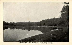 PA - Lake Carey. Wrigley's Grove