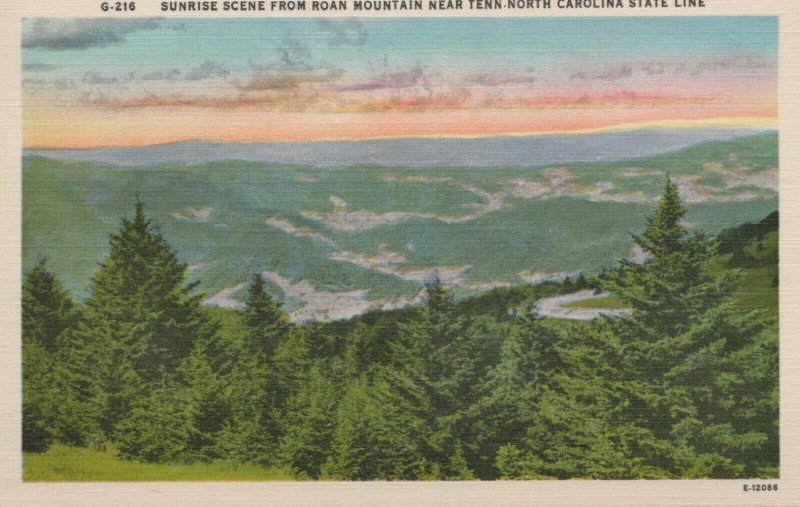 Sunrise Scene Roan Mountain North Carolina State Line Linen Vintage Postcard