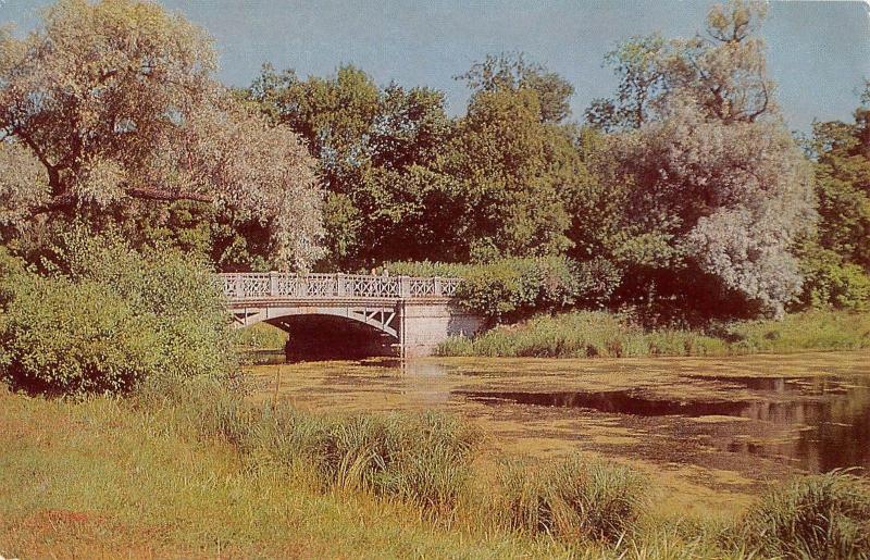 B98019 the alexander park landscape with the llama pond town of pushkin   russia