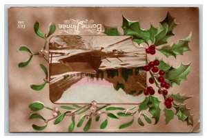 RPPC Tinted Winter Scene Holly Mistletoe Bonne Annee New Year  Postcard U22