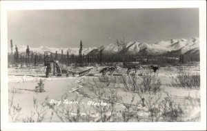 Alaska Dog Sledding Dog Team Husky Dogs Real Photo Vintage Postcard