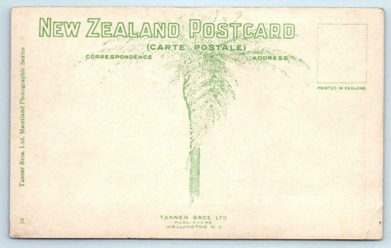 RPPC  WHAKAREWAREWA, New Zealand ~ KERERU & POHUTU GEYSERS   Postcard