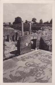 Italy Ostia Antica Terme Mosaico Del Nettuno Real Photo