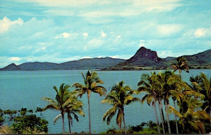 Fiji Tavua Bay