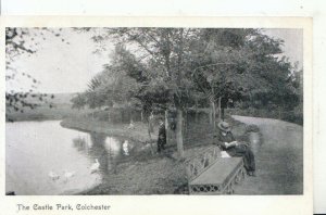 Essex Postcard - The Castle Park - Colchester - Ref 17164A