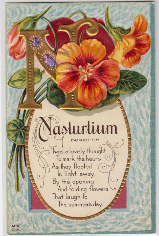 Nasturtium