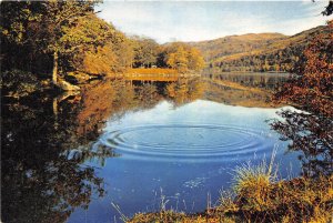 uk46831 loch oich great glen inverness shire scotland uk