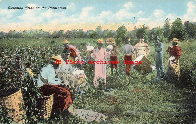 317247-Black Americana, Curt Teich No A-1343, Weighing Cotton on Plantation