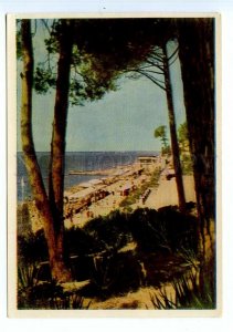 498563 USSR 1963 year Sochi beach publishing house Izogiz postcard