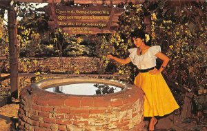 THE WISHING WELL Ramona's Marriage Place, San Diego c1960s Vintage Postcard