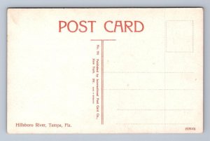 HILLSBORO RIVER SHIP TAMPA FLORIDA POSTCARD (c. 1910) !!!