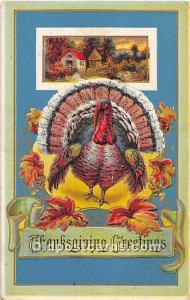 Thanksgiving Unused 