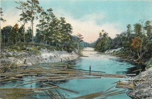 c1910 Suwanee Florida Logging Lumber occupation Leighton Postcard 26-69