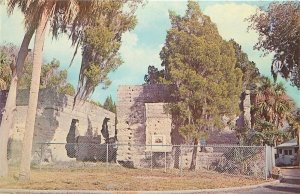 FL, Manatee County, Florida, Ruins of Old Braden Castle, Tropical Cards S-60322