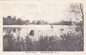 New York Beaver Brook Silver Lake