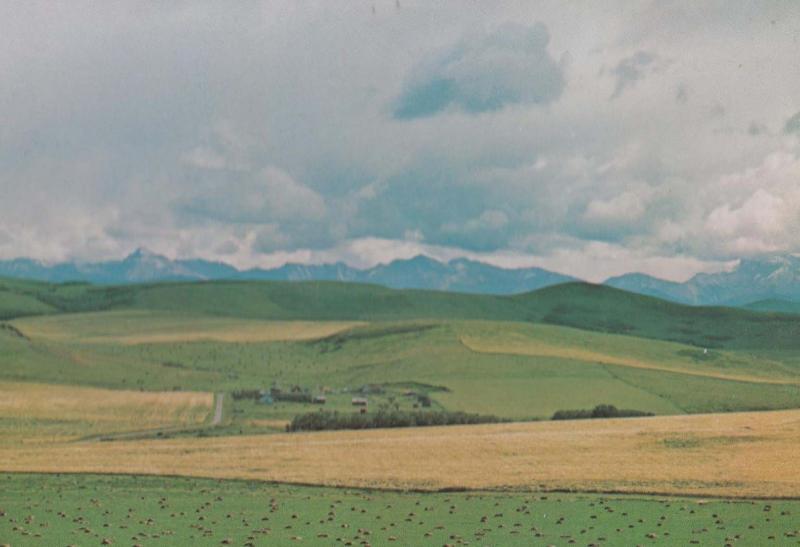 Alta Foothills Farming Ranch Country Birds Eye Aerial Canada Canadian Postcard