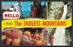 Pennsylvania - Greetings From The Endless Mountains - [PA-536]