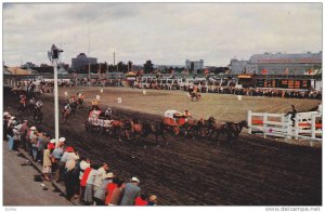 Chuckwagon Races , Stampede , Calgary , Alberta , Canada , 50-60s