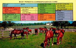 Humour Busy Persons Correspondence Card Grazing Horses