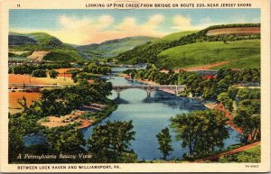 Vtg Jersey Shore Pennsylvania PA Pine Creek from Bridge on Route 220 Postcard 