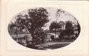 Postcard Botanical Gardens Sydney Australia