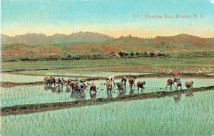 Bontoc Phillipines-Natives Planting Rice~1920s POSTCARD