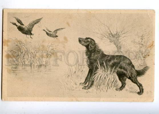 160725 Duck HUNT Dog SETTER by WH Vintage VIENNE PC